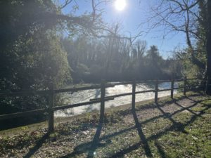 IMG_0414